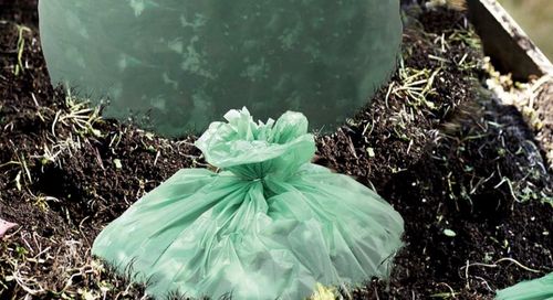 Τα τελευταία νέα της εταιρείας για Είναι βιοδιασπώμενες οι πλαστικές σακούλες; Απορρίπτοντας τους μύθους